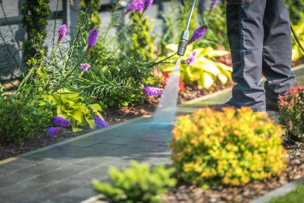 Best Spring Cleaning  in Ramsey, MN