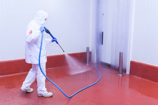 Best Post-Construction Pressure Washing  in Ramsey, MN